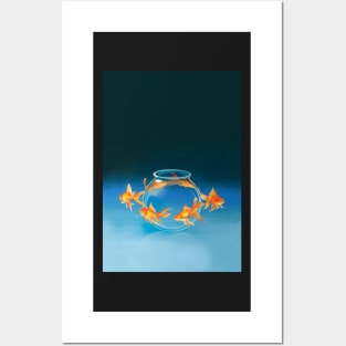 Goldfish Posters and Art